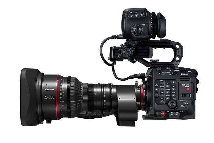 C300MarkIII-w-25-250.jpg