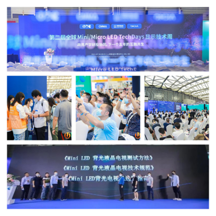 4-全球規模最大的“MiniMicro LED技術周”在滬成功舉辦(1)4034.png